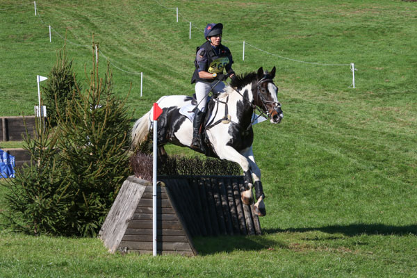 Sam Lewis Riding Instructor